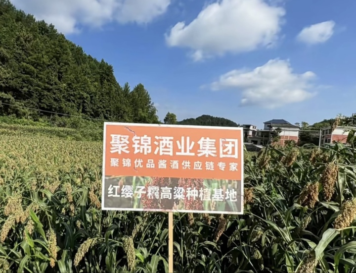 定制酒成品展示