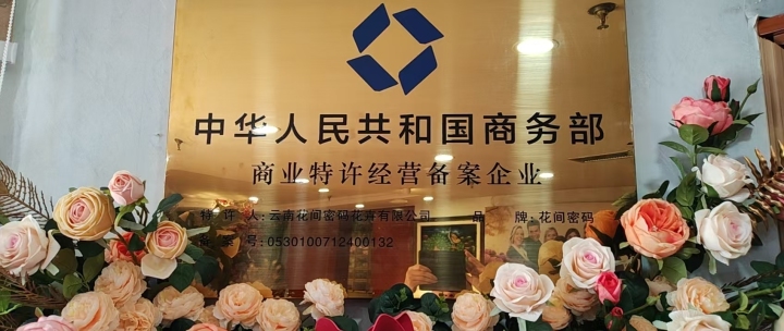 云南小粒咖啡种植园景观