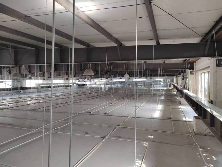 施工团队现场作业
