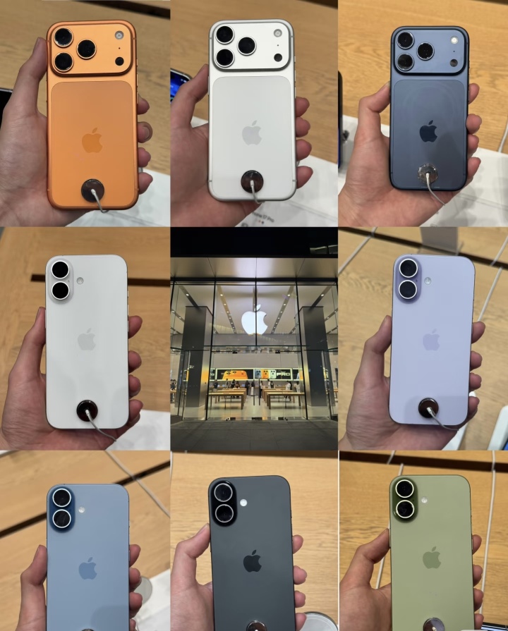 正品保障与透明流程