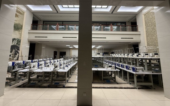 2026年缝纫机公司实力推荐/缝纫设备，工业缝纫机