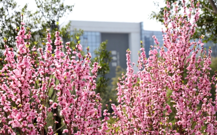 大健康产业人才培养基地