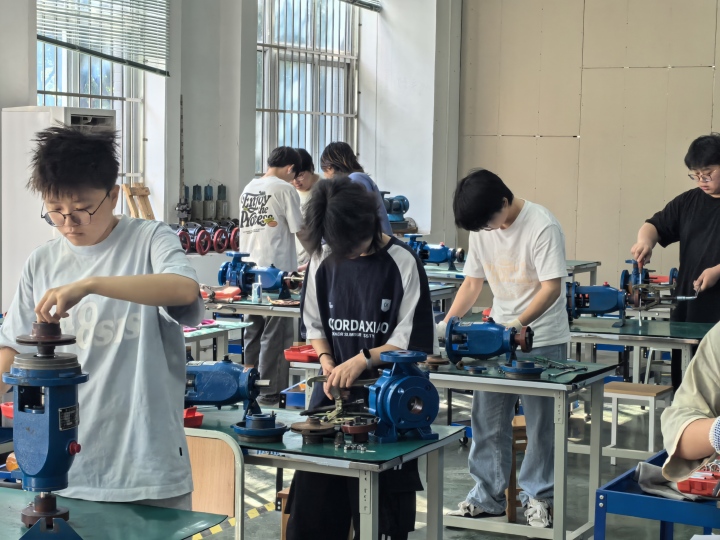 校园风貌与学习环境