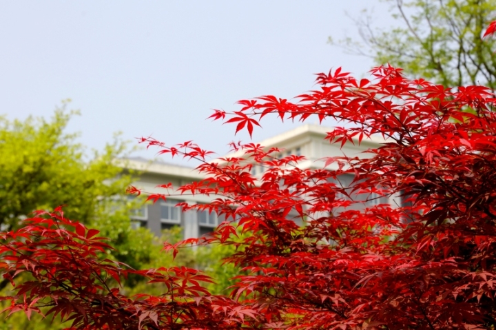 产教融合成果展示