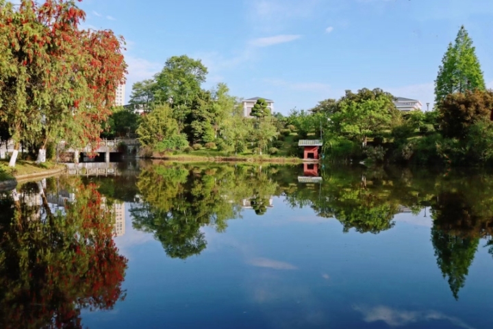 实训场景
