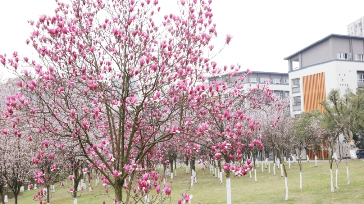 现代化的实训基地与学生操作场景