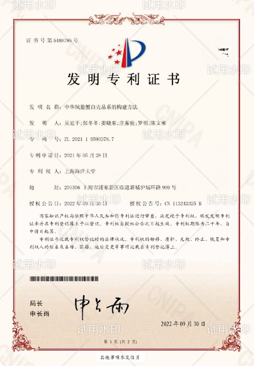 白玉蟹外观展示