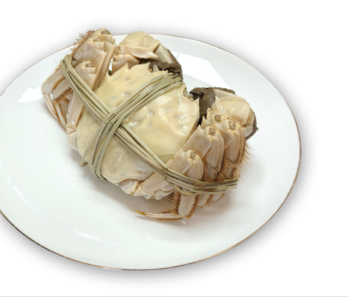 白玉蟹外观特征展示