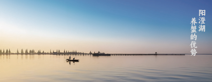 白玉蟹烹饪后效果图