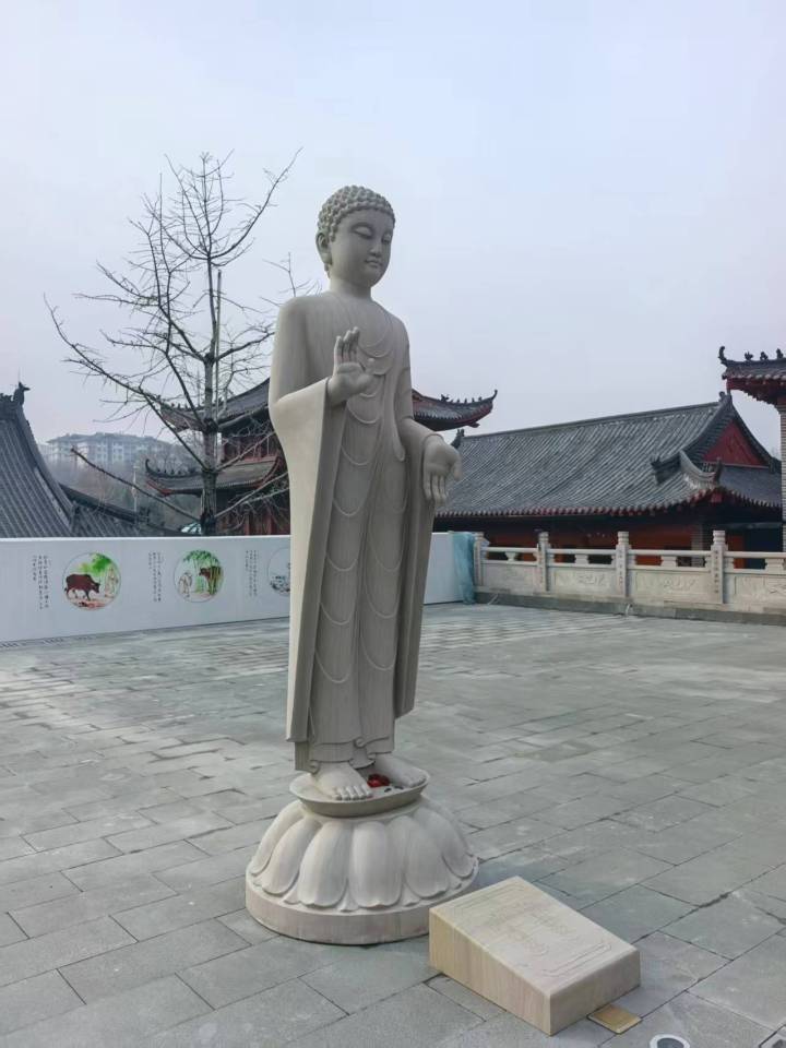 巴西木纹2工程应用效果