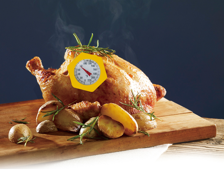 温度计在食品工业中的应用