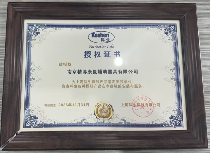 专业假肢装配与评估