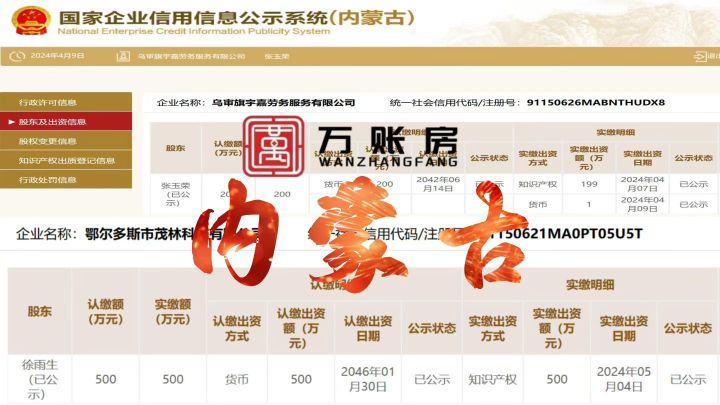 技术规模