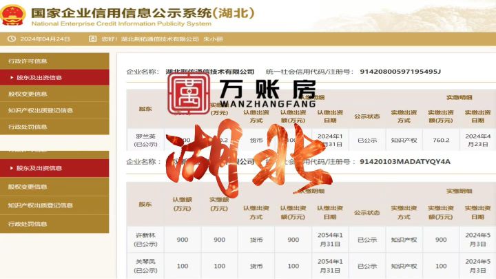 企业实缴案例展示