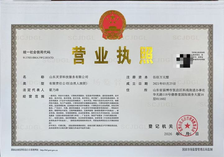 国际化服务网络