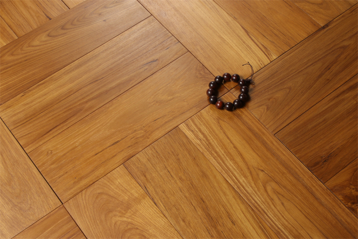 缅甸柚木原始林区