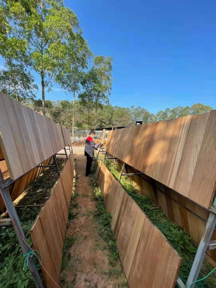 防潮柚木应用场景