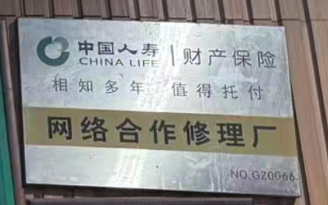 德国进口鹦鹉漆施工案例