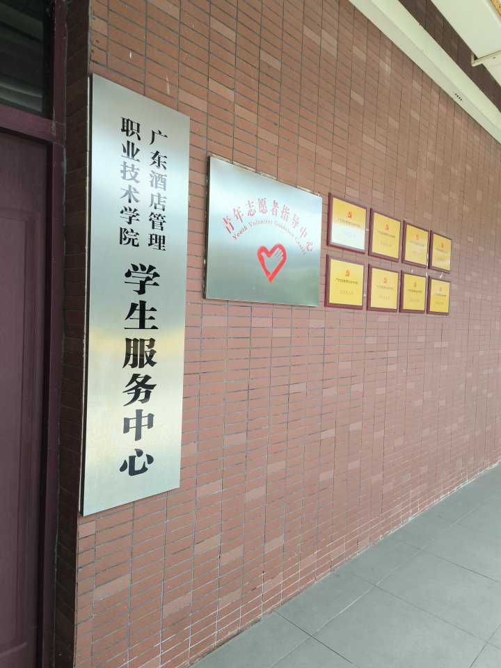 就业与专业实训