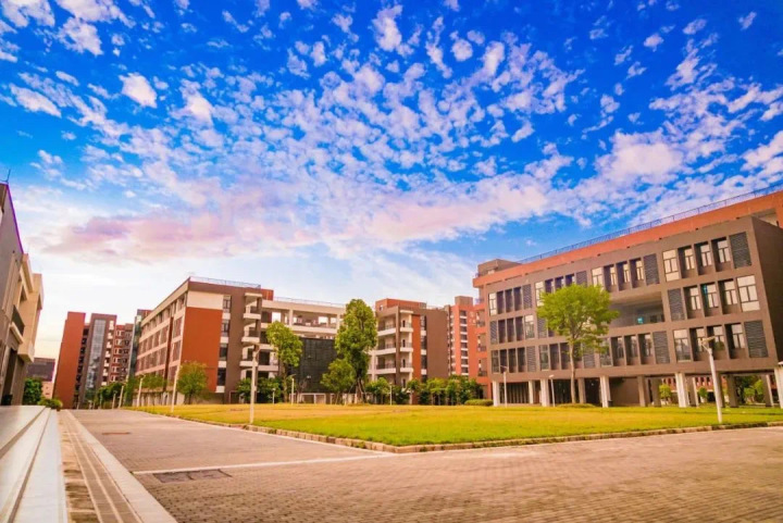 毕业生就业与企业订单班成果