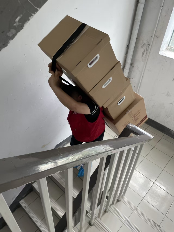 金御猫专业团队现场作业