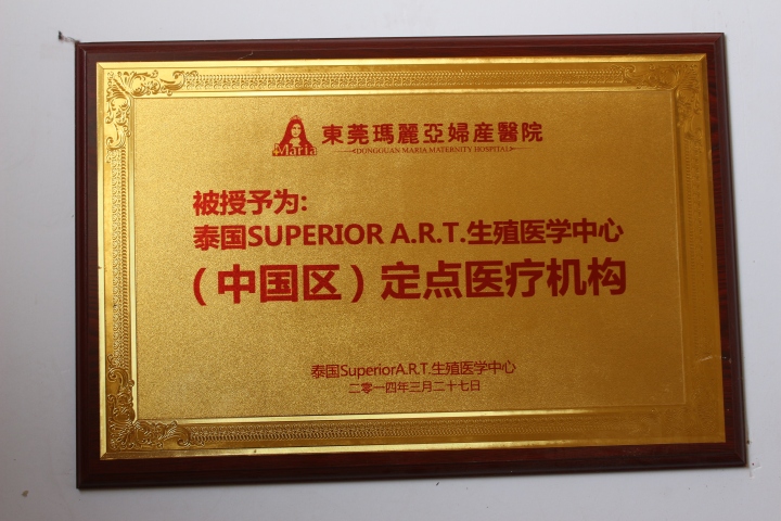 团队展示