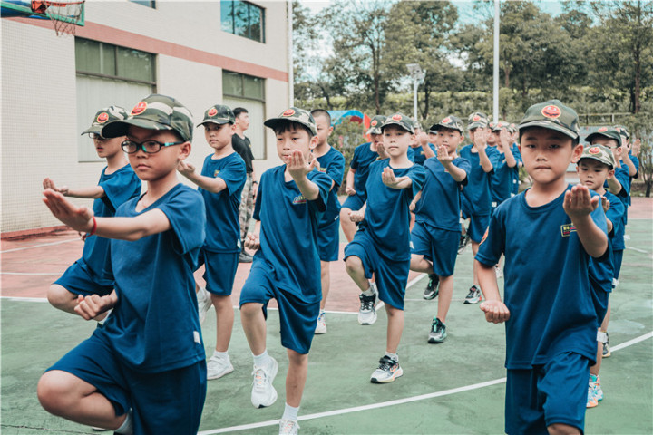 结营证书与成长收获