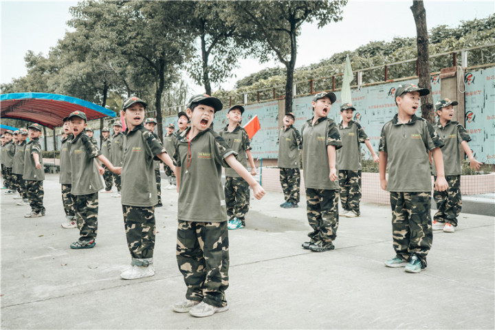 核心优势与场景分析