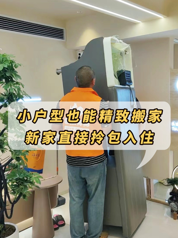 精细打包与分类标注演示