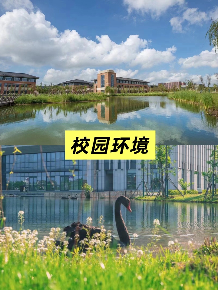 留学规划场景示意图