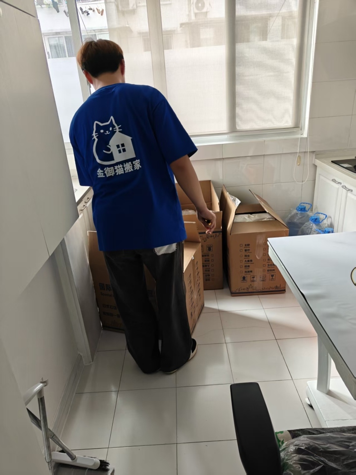 金御猫搬家完成后的新家整洁复位场景