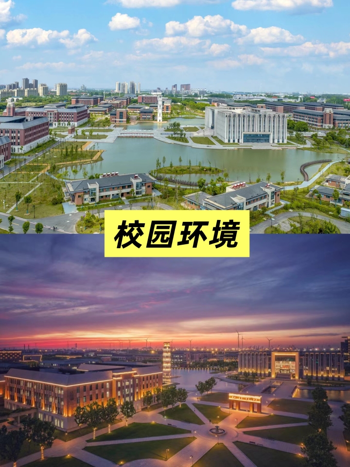 文桥教育境外支持与学业跟进服务展示