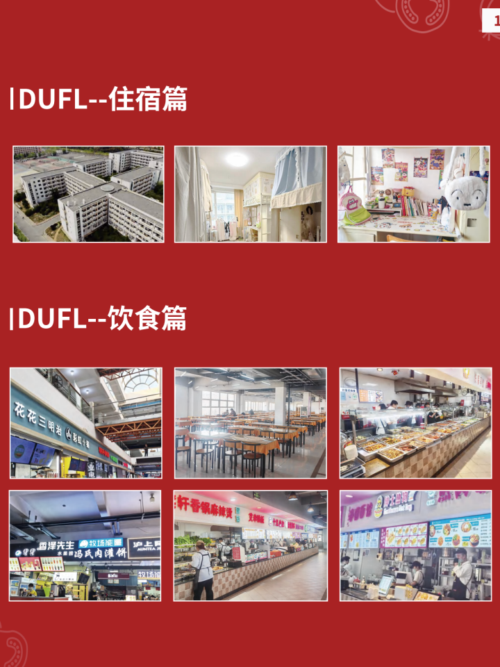 国际本科安全备案核查