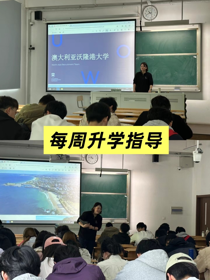 文桥教育境外支持体系