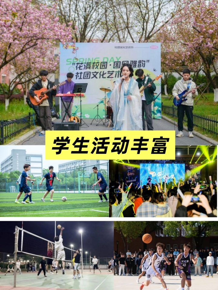 本科留学市场分析图