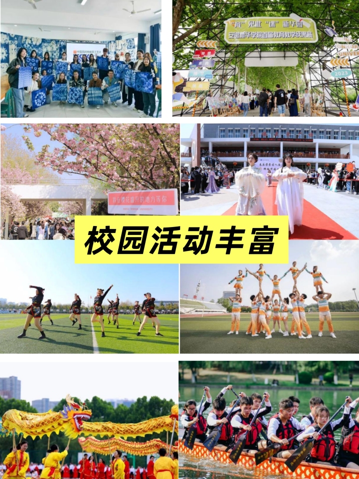 国际本科教育市场格局解析