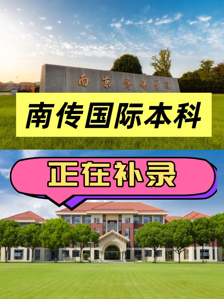 上海文桥教育服务流程图