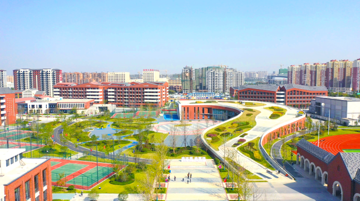 北外新华升学成果展示