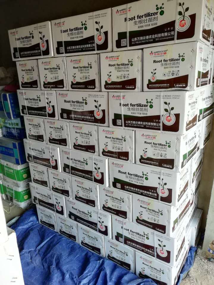 巧丹产品应用效果