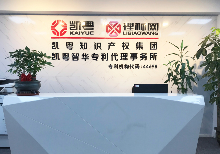 凯粤智华专业服务团队与流程展示