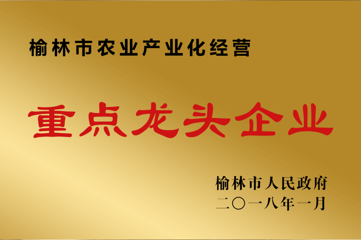 驼城御品产品展示