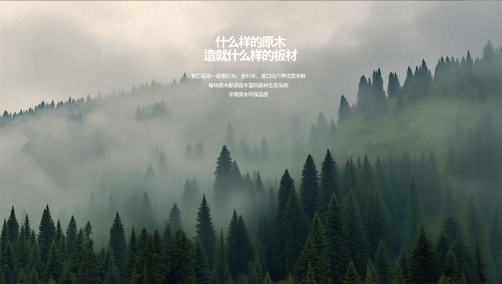 全屋木作设计风格案例展示