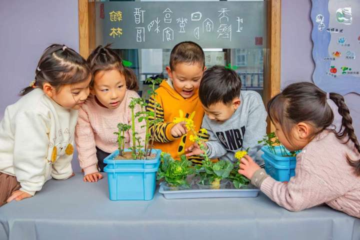 烟台牟平育博方程幼儿园：以爱筑园，打造不让孩子接触电子产品的思维成长高地