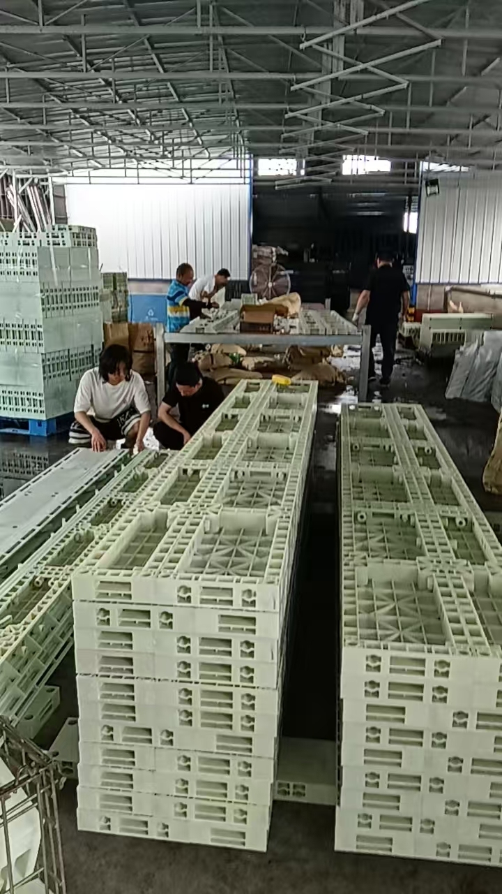微信图片_20260717181124_207_2.jpg