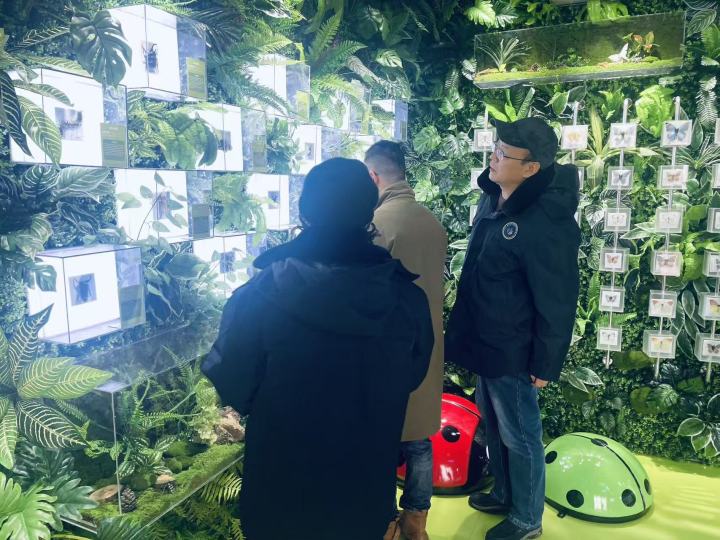 2026年10月搜索一下比较好的展厅机构