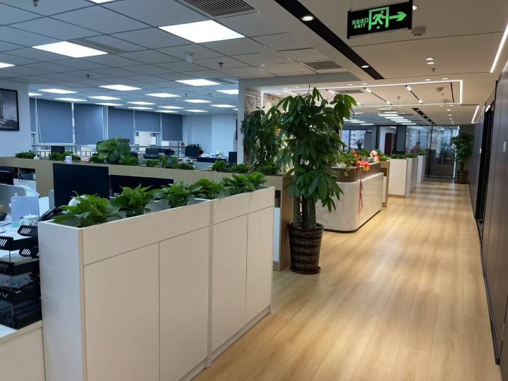 内景1.jpg