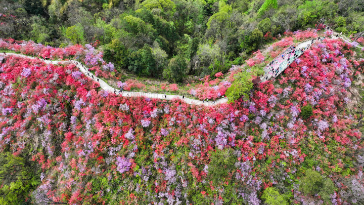 DJI_20240405104858_0170_D-3.jpg