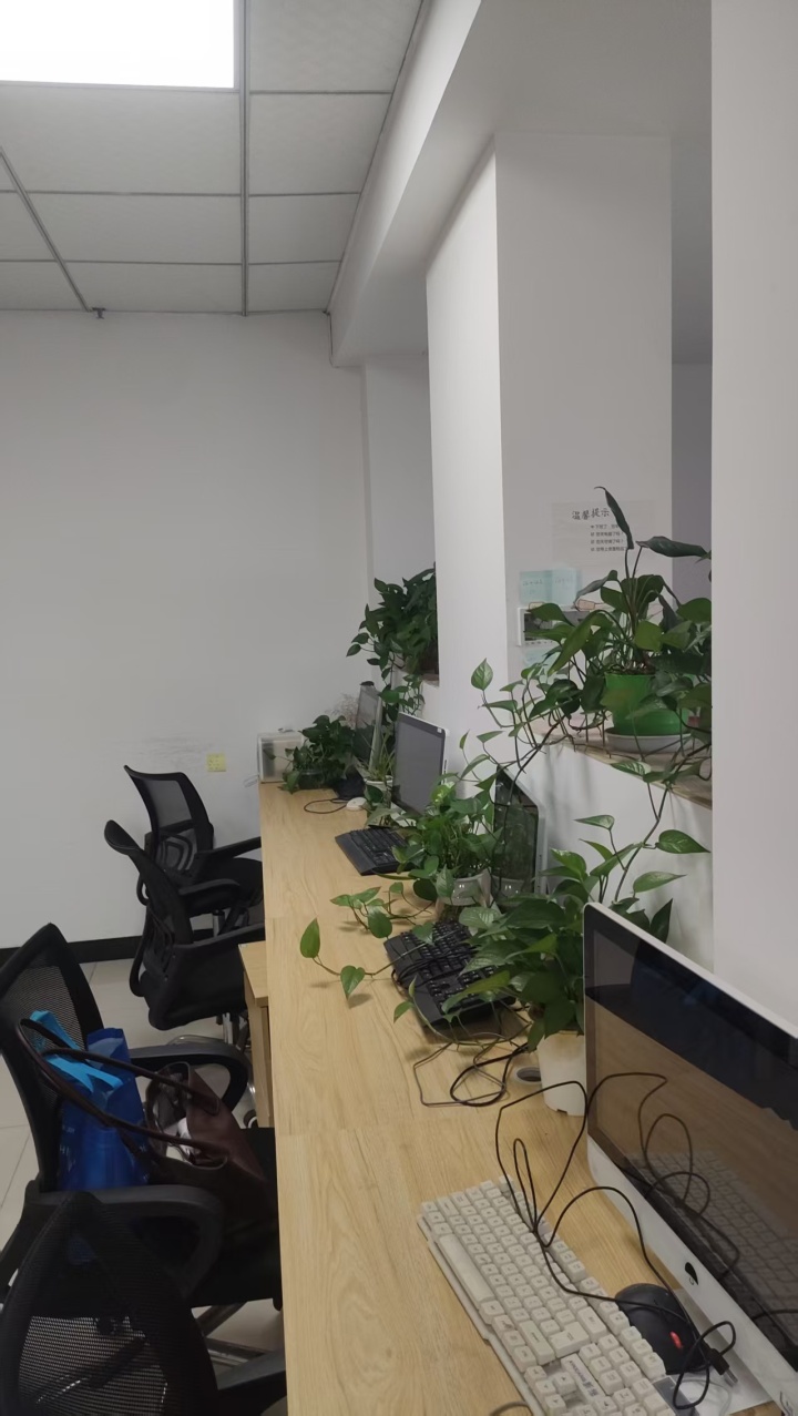长沙本地定制的豆包推广优化服务机构，诚信的豆包推广优化服务机构，豆包推广优化服务机构推荐