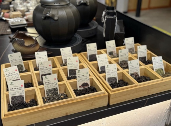 寻味如皋:在归枞茶咖,遇见南通最专业的咖啡美学空间